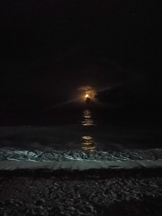 ホテル Miss Bassy'S Lodging San Andrés エクステリア 写真