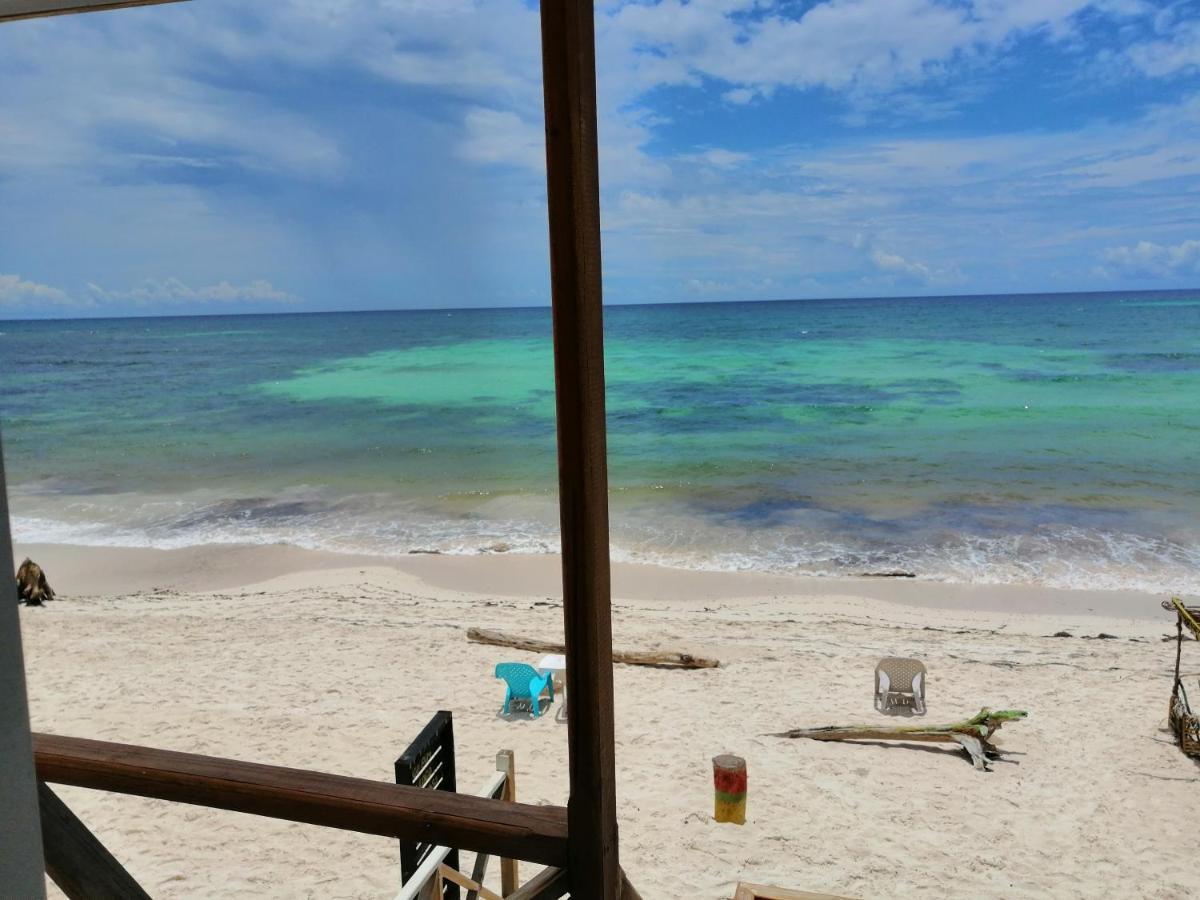 ホテル Miss Bassy'S Lodging San Andrés エクステリア 写真