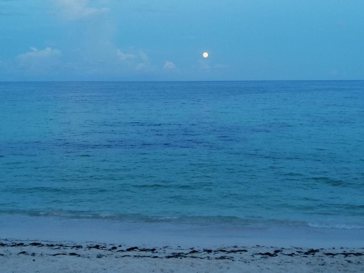 ホテル Miss Bassy'S Lodging San Andrés エクステリア 写真