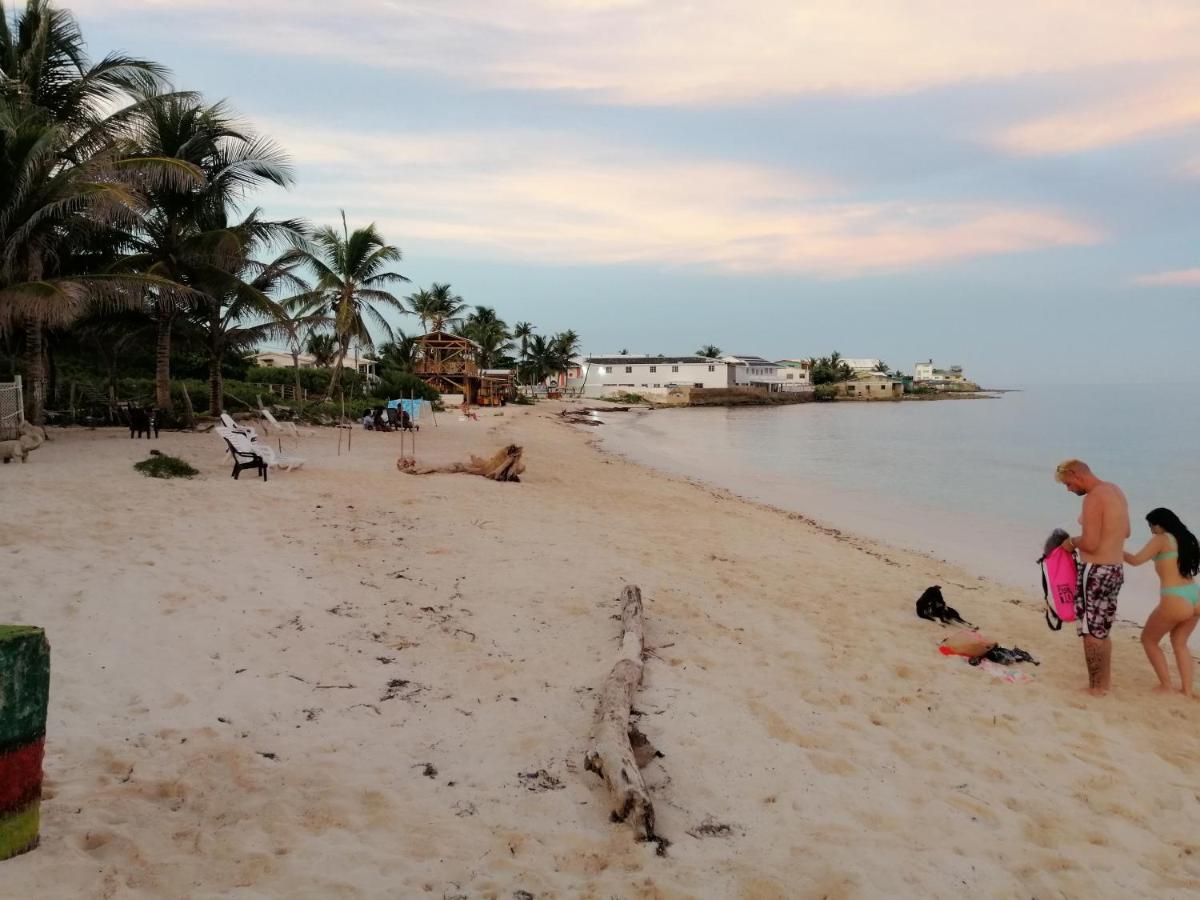 ホテル Miss Bassy'S Lodging San Andrés エクステリア 写真