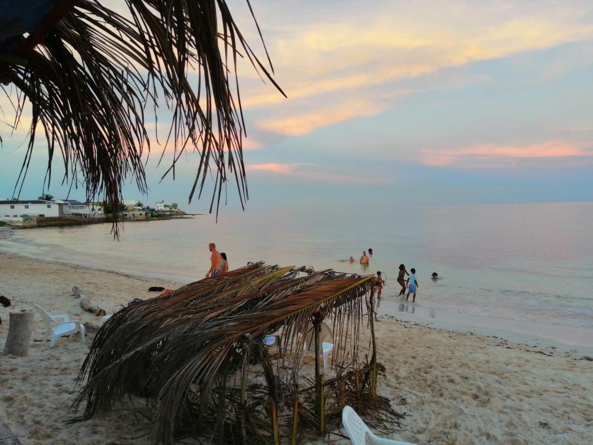 ホテル Miss Bassy'S Lodging San Andrés エクステリア 写真