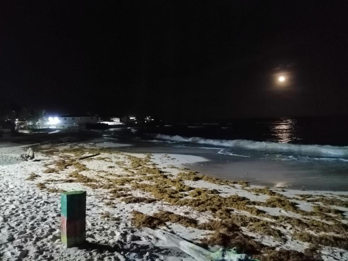 ホテル Miss Bassy'S Lodging San Andrés エクステリア 写真